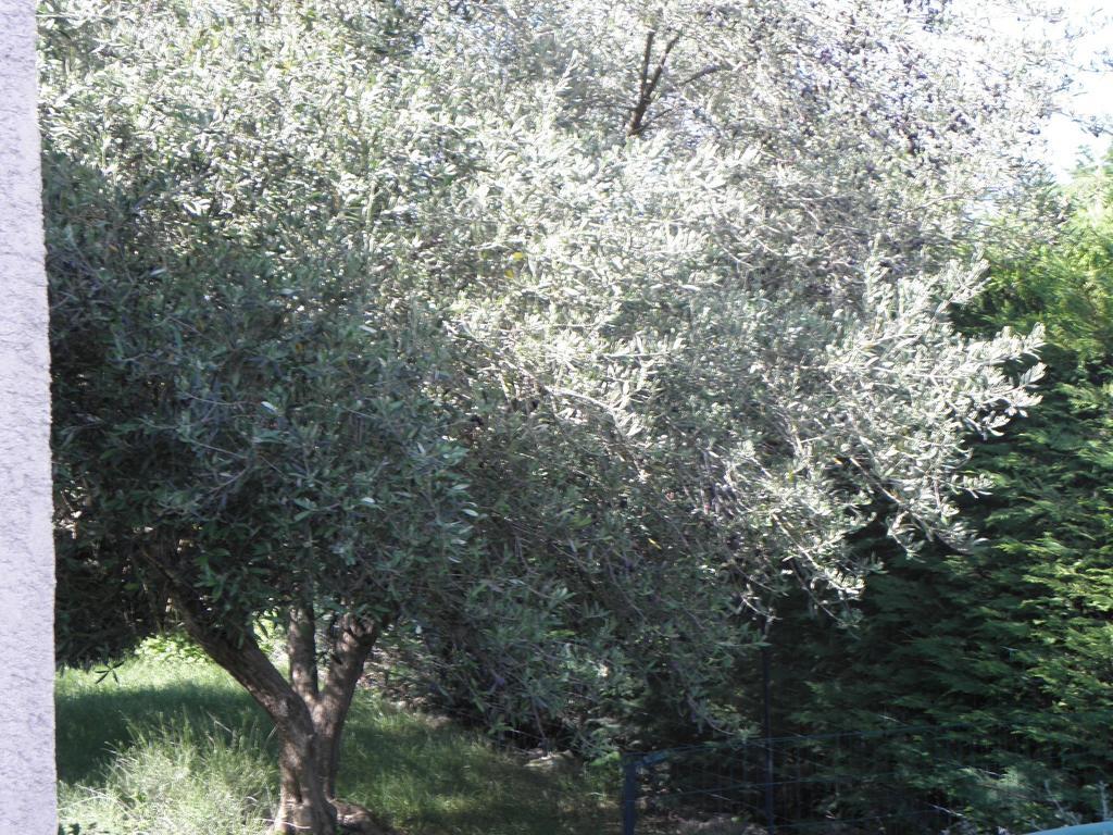La Parenthese Sommières Quarto foto